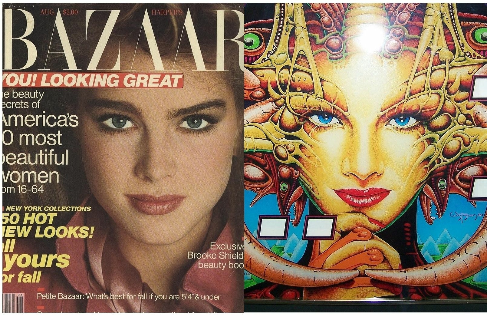Brooke Shields Magazine Cover Template For Williams Barracora All